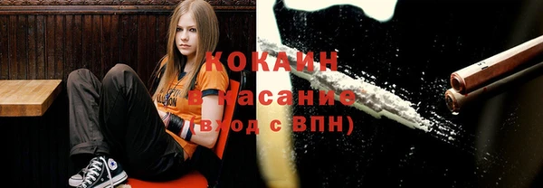крисы Магадан