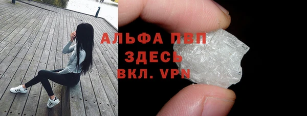 крисы Магадан