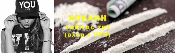 шишки Магас