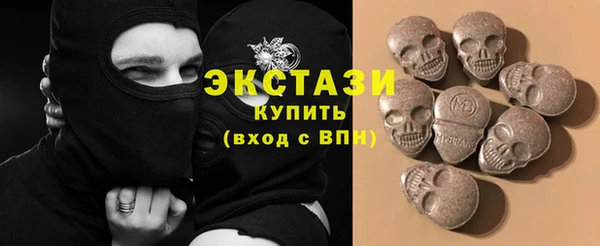 шишки Магас