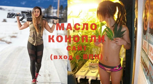 метамфетамин Ельня