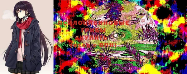 шишки Магас