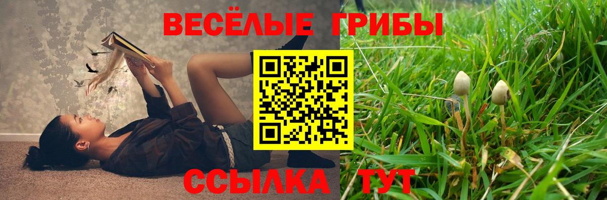 Нурлат  Псилоцибиновые грибы мухоморы  Галлюциногенные грибы мухоморы  Вход с VPN 